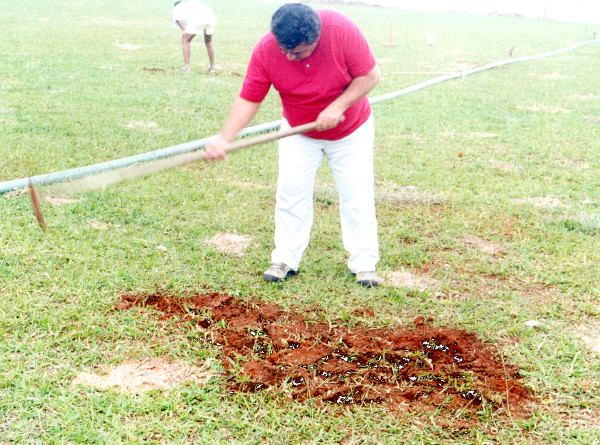 2002: Para jogar em casa e sem dinheiro, até o presidente plantou grama
